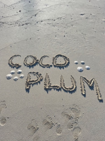 Coco Plum written in sand