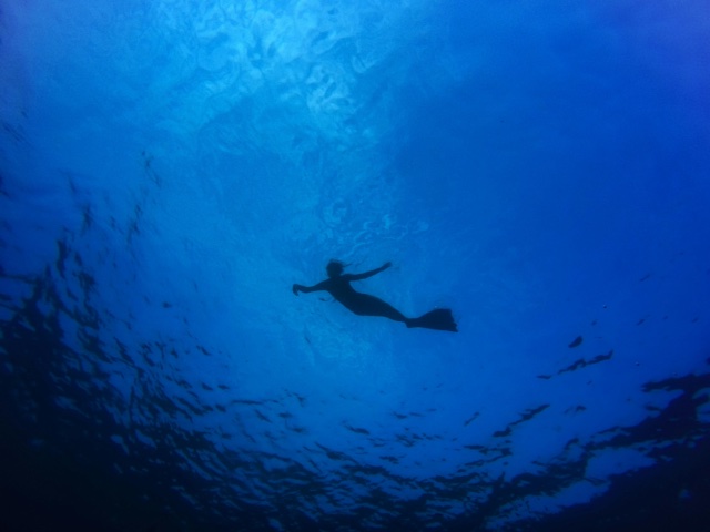 Diver in Dark Blue Water